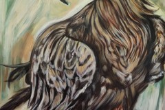 aquila2